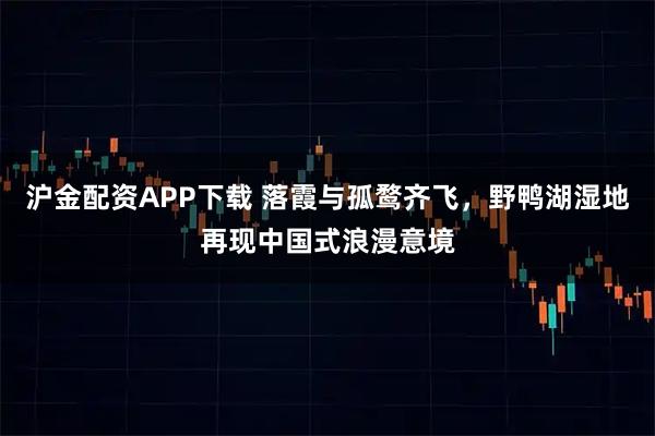 沪金配资APP下载 落霞与孤鹜齐飞，野鸭湖湿地再现中国式浪漫意境