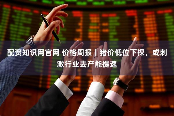 配资知识网官网 价格周报|猪价低位下探,或刺激行业去产能提速
