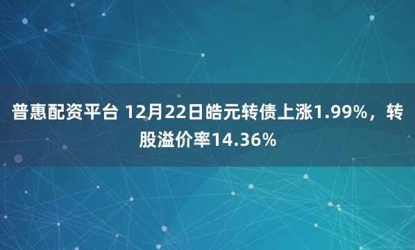 普惠配资平台 12月22日皓元转债上涨1.99%，转股溢价率14.36%