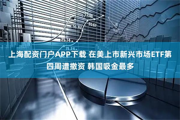 上海配资门户APP下载 在美上市新兴市场ETF第四周遭撤资 韩国吸金最多